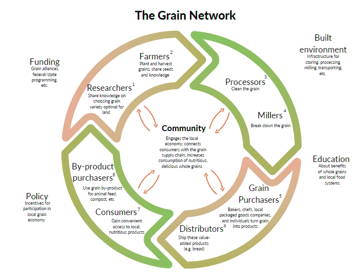 grain network