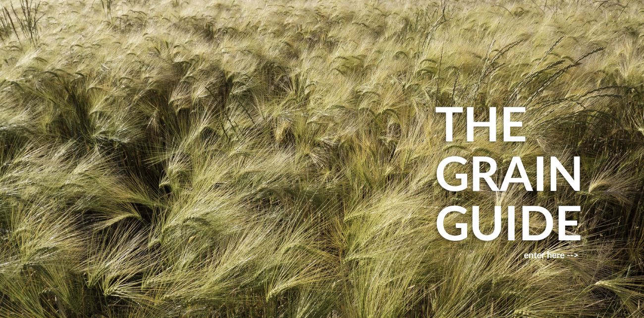 the grain guide